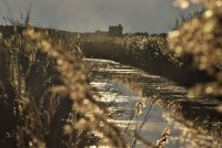 Passion Nature Camargue - Paysages de Camargue © Passion Nature Camargue