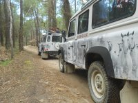 Camargue Sauvage - Camargue en 4x4 © Camargue Sauvage