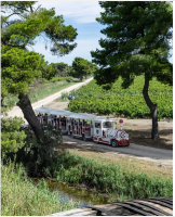 Domaine royal de Jarras - Petit train © Domaine royal de Jarras