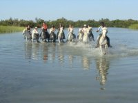 Daladel - camargue; costieres; tourisme; vacances; loisirs; gard; vauvert; montcalm; promenade; cheval © Droits gérés camargue; costieres; tourisme; vacances; loisirs; gard; vauvert; montcalm; promenade; cheval