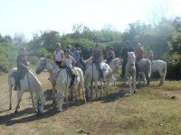 Daladel - camargue; costieres; tourisme; vacances; loisirs; gard; vauvert; montcalm; promenade; cheval © Droits gérés camargue; costieres; tourisme; vacances; loisirs; gard; vauvert; montcalm; promenade; cheval