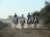 Daladel - camargue; costieres; tourisme; vacances; loisirs; gard; vauvert; montcalm; promenade; cheval © Droits gérés camargue; costieres; tourisme; vacances; loisirs; gard; vauvert; montcalm; promenade; cheval