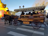 Les Calèches de Camargue - Promenade en Calèche © © Les Calèches de Camargue