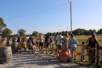 Visite de la manade Agnel_Le Cailar &copy; OT Coeur de Petite Camargue