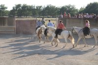 Visite de la manade Agnel_Le Cailar &copy; OT Coeur de Petite Camargue