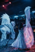  &copy; cabaret equestre de camargue