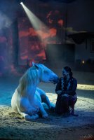  &copy; cabaret equestre de camargue