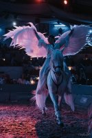  &copy; cabaret equestre de camargue