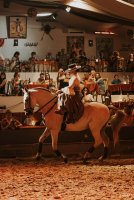  &copy; cabaret equestre de camargue