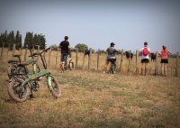 Camargue decouverte - e-bike © thierry trazic