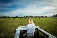 Camargue autrement - 2017-Hervé Leclair Asphéries-Sud de France Développement © Droits gérés 2017-Hervé Leclair Asphéries-Sud de France Développement