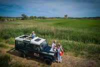 Camargue autrement - 2017-Hervé Leclair Asphéries-Sud de France Développement © Droits gérés 2017-Hervé Leclair Asphéries-Sud de France Développement