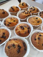 P&acirc;tisserie Molinos_Aigues-Mortes &copy; P&acirc;tisserie Molinos