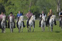 Camargue decouverte - Camargue decouverte © Camargue decouverte