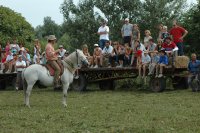 Camargue decouverte - Camargue decouverte © Camargue decouverte