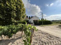 Domaine Loïc nencioni vigneron - Domaine Loïc nencioni vigneron © Domaine Loïc nencioni vigneron