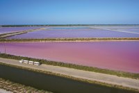 Salin du d'Aigues-Mortes - Etangs © Salin du d'Aigues-Mortes