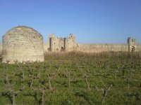 Caveau des Sablons - Vignes remparts © Caveau des Sablons