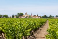 Domaine de Montcalm_Vauvert &copy; Chadam communication