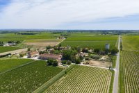 Domaine de Montcalm_Vauvert &copy; Chadam communication