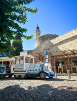 Petit train d'Aigues Mortes_Aigues-Mortes © 