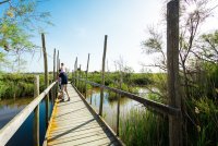 Passerelle en bois - Sentier de la Marette - promeneurs regardant le paysage sur la passerelle en bois - Sentier de la Marette © DR / [Qualité Tourisme - SMCG]