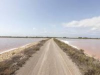 Le Salin d'Aigues-Mortes - Sentier © Le Salin d'Aigues-Mortes