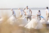 Visites de la r&eacute;colte de la fleur de sel - Salin d'Aigues-Mortes_Aigues-Mortes &copy; 