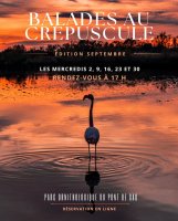 Parc Ornithologique - Programme des animations d'&eacute;t&eacute;_Saintes-Maries-de-la-Mer &copy; 