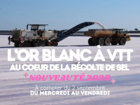 Visites guid&eacute;es &agrave; v&eacute;lo de la r&eacute;colte du gros sel - Salin d&rsquo;Aigues-Mortes_Aigues-Mortes &copy; 