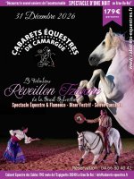 Le Fabuleux R&eacute;veillon Tzigane de la Saint-Sylvestre en Camargue - D&icirc;ner Spectacle_Le Grau-du-Roi &copy; Cabaret Equestre