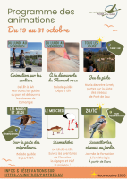 Parc Ornithologique du Pont de Gau - Vacances de la Toussaint_Saintes-Maries-de-la-Mer &copy; 