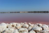 Salin d'Aigues-Mortes - Cristallisation sel vue des remparts © Salin d'Aigues-Mortes