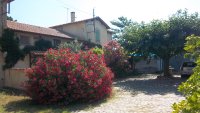 G&icirc;te "L'Amandier" - Les Pierrades en Camargue_Vauvert &copy; 