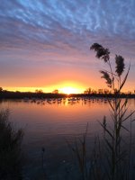 Couché de soleil sur le parc © Parc ornithologique du Pont de Gau