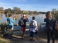 Visite du parc © Parc ornithologique du Pont de Gau