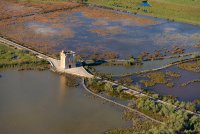 Tour Carbonnière et ses marais - Tour Carbonnière et ses marais © JM André/Gard Tourisme