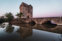 Tour Carbonnière et ses marais - Tour Carbonnière et ses marais © Teddy Verneuil Lebroz/Gard Tourisme