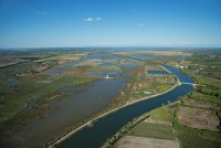 Tour Carbonnière et ses marais - Tour Carbonnière et ses marais © JM André/Gard Tourisme