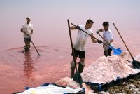 Les Salins d'Aigues Mortes - Récolte de la fleur de sel par les sauniers © Gard Tourisme