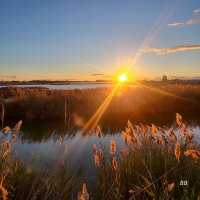 Coucher de soleil - Etang de la Marette - Crépuscule en hiver sur l'Etang de la Marette © DR / [SMCG]