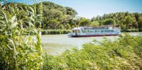 Aigues-Mortes - Croisi&egrave;res en Camargue