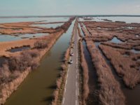 Camargue Safari Tours