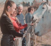 Camargue Safari Tours