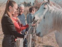 Camargue Safari Tours