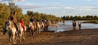 Promenade à cheval