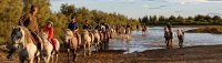 Promenade à cheval