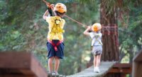 Aigues-Mortes - Les activités à faire en famille