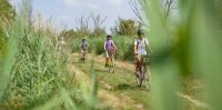 Aigues-Mortes - Balade &agrave; v&eacute;lo