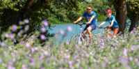 Aigues-Mortes - Balade &agrave; v&eacute;lo